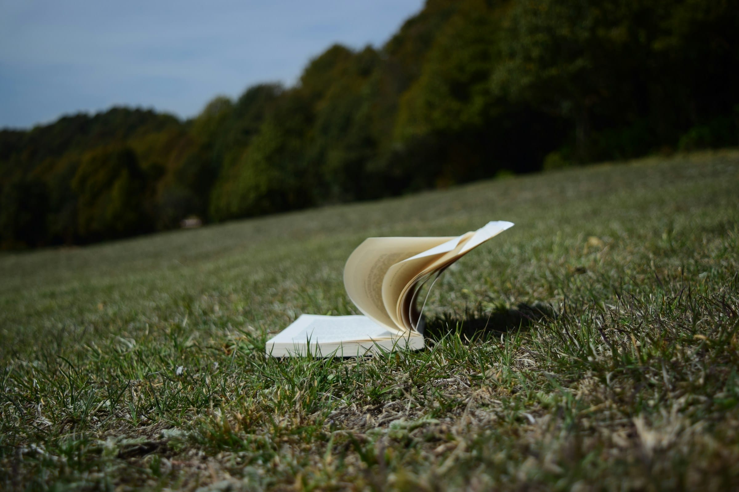 prefazione romanzo